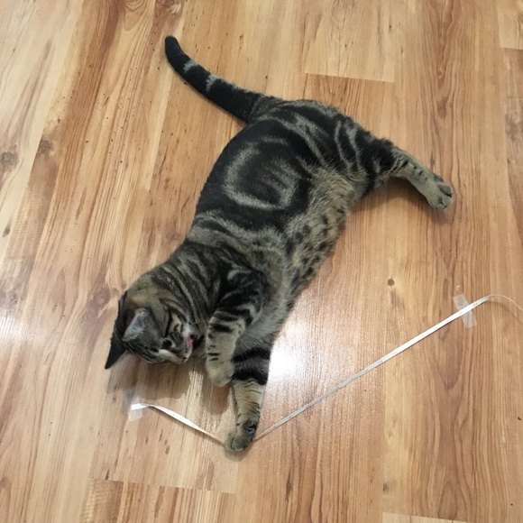 NWT ANTHROPOLOGIE "Rayna" high rise modest bottoms - Picture 6 of 10